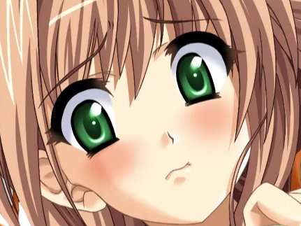 sasakawa ai presence vn