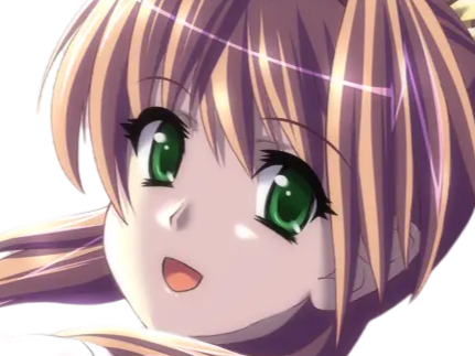 sasakawa ai presence vn