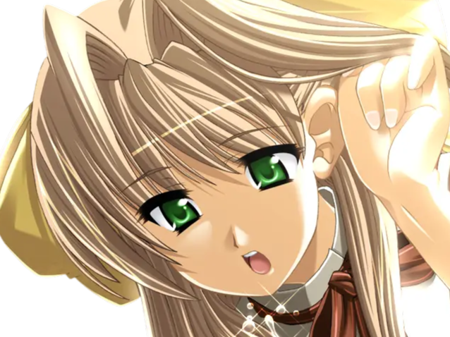 sasakawa ai presence vn