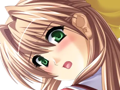 sasakawa ai presence vn