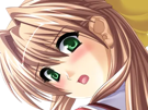 sasakawa-ai-presence-vn