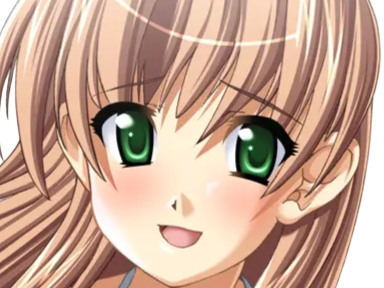 sasakawa ai presence vn