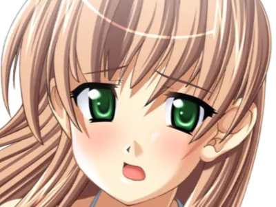 sasakawa ai presence vn
