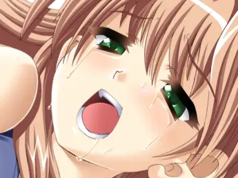 sasakawa ai presence vn