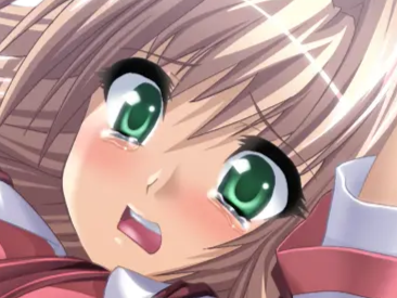 sasakawa ai presence vn