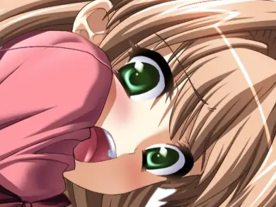 sasakawa ai presence vn