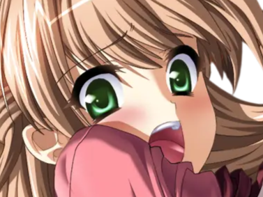 sasakawa ai presence vn