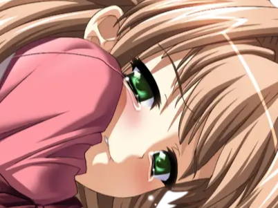 sasakawa ai presence vn