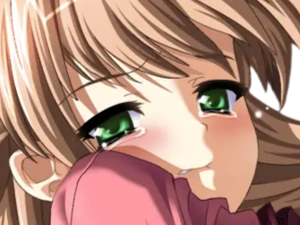 sasakawa ai presence vn