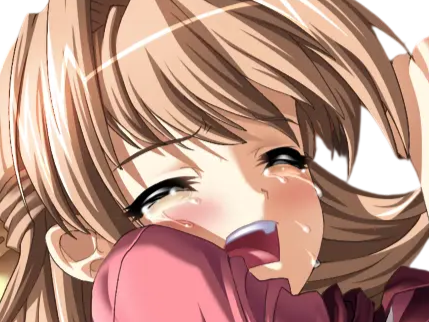 sasakawa ai presence vn