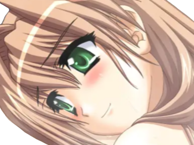 sasakawa ai presence vn