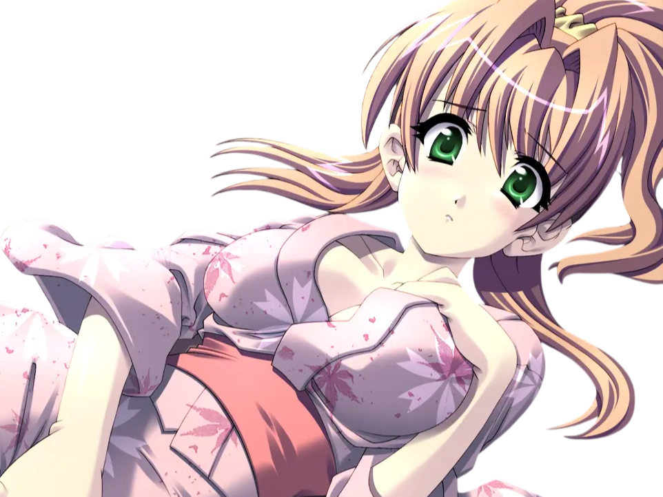 sasakawa ai presence vn