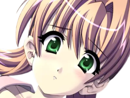 sasakawa ai presence vn