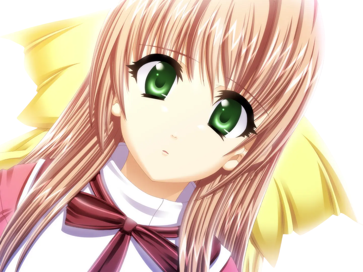 sasakawa ai presence vn