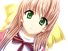 sasakawa-ai-presence-vn
