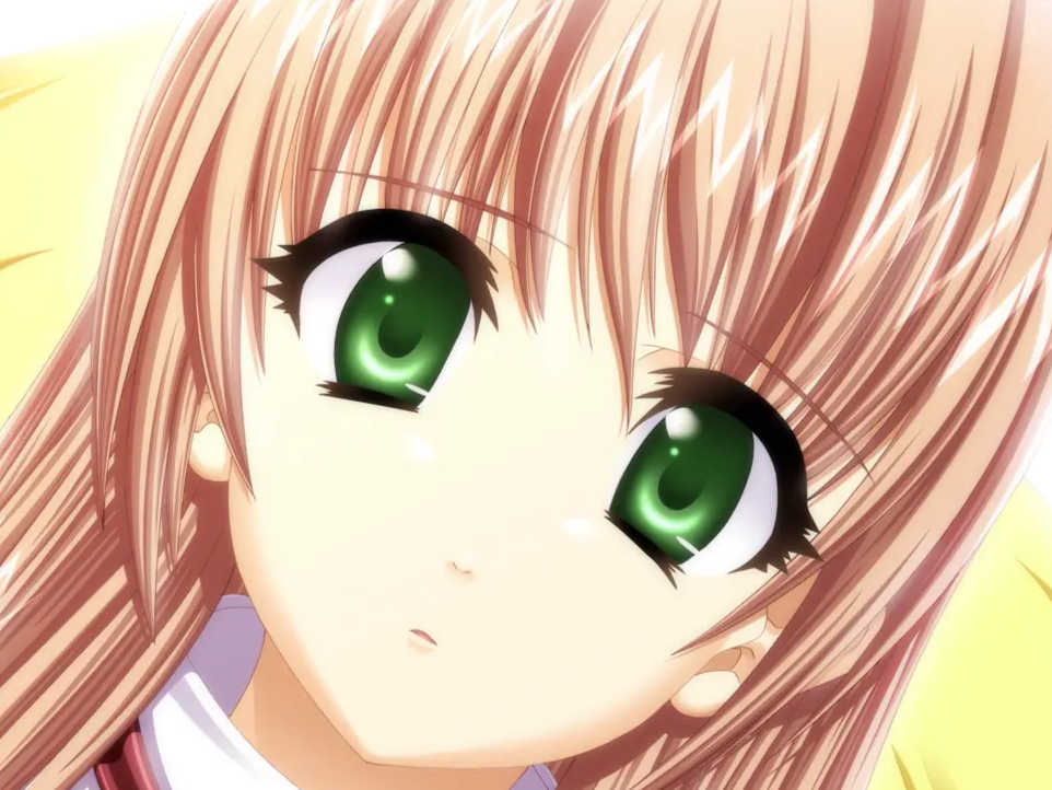 sasakawa ai presence vn
