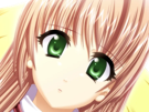 sasakawa-ai-presence-vn