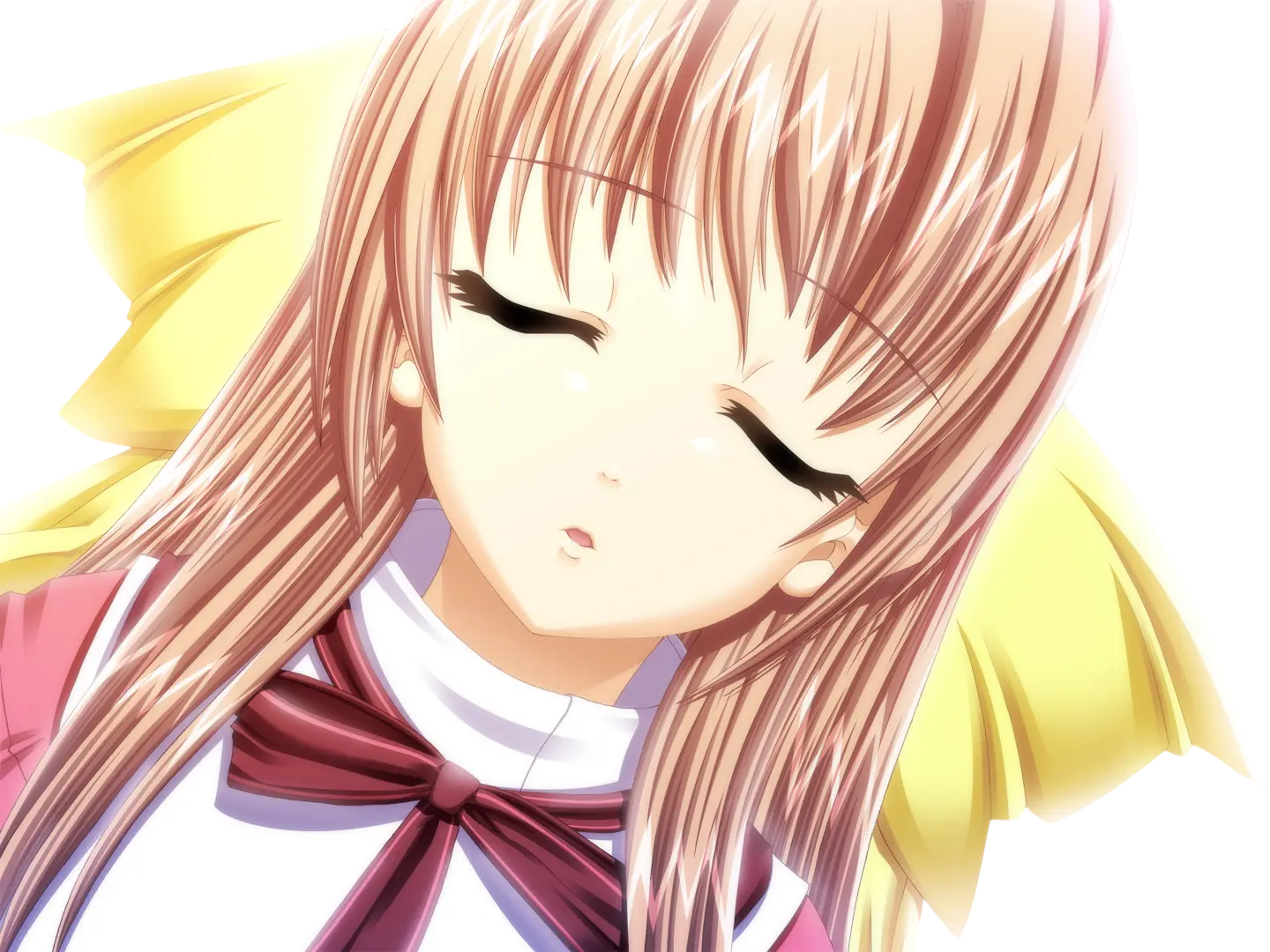 sasakawa ai presence vn