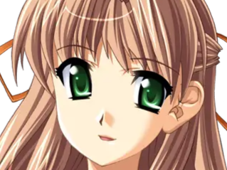 sasakawa ai presence vn