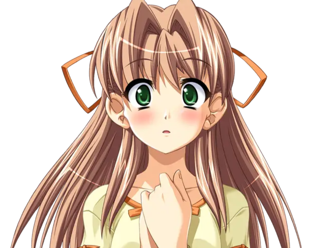 sasakawa ai presence vn