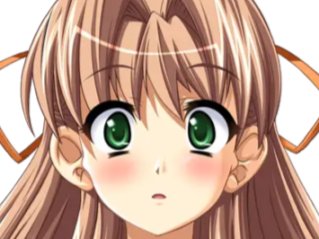 sasakawa ai presence vn