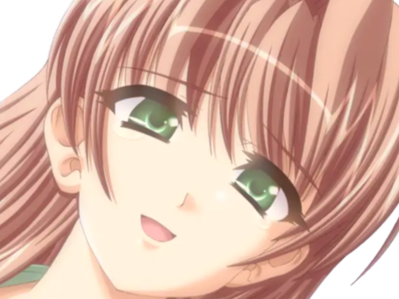 sasakawa ai presence vn