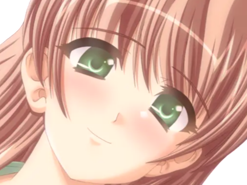 sasakawa ai presence vn