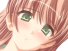sasakawa-ai-presence-vn