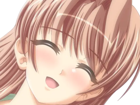 sasakawa ai presence vn