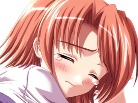 hoshino kasumi presence vn