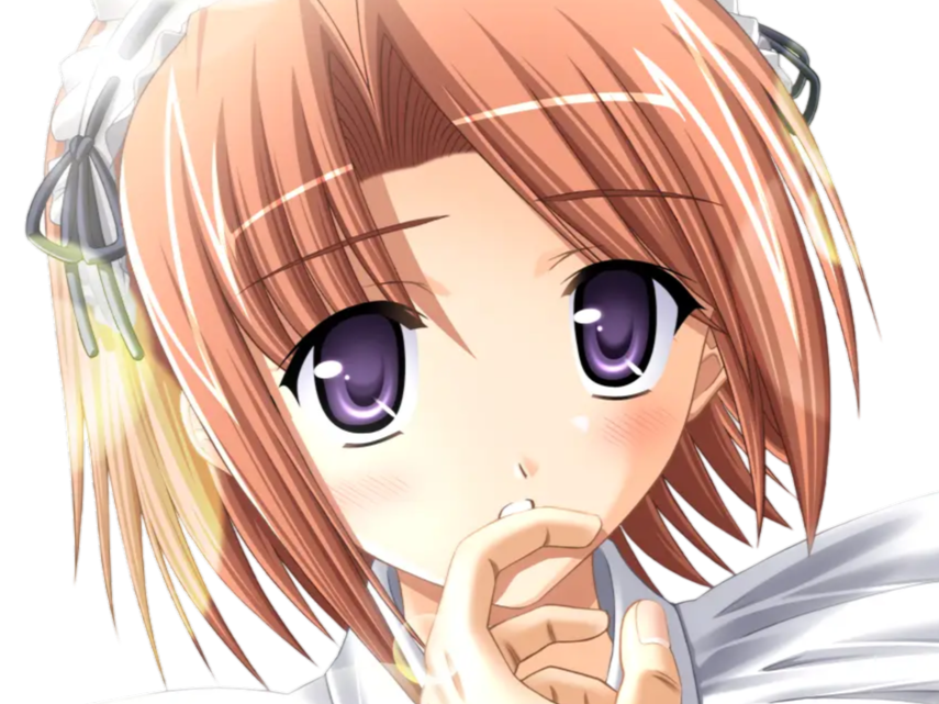 hoshino kasumi presence vn