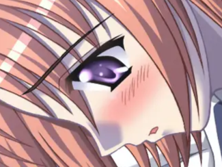 hoshino kasumi presence vn