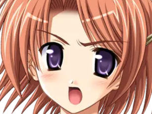 hoshino kasumi presence vn
