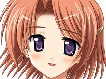 hoshino kasumi presence vn