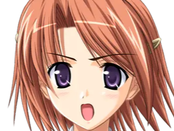 hoshino kasumi presence vn