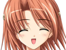 hoshino-kasumi-presence-vn