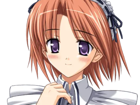 hoshino kasumi presence vn