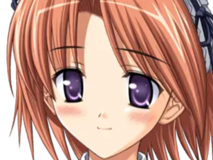 hoshino kasumi presence vn