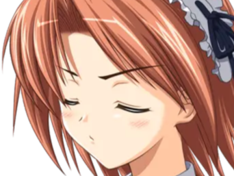 hoshino kasumi presence vn