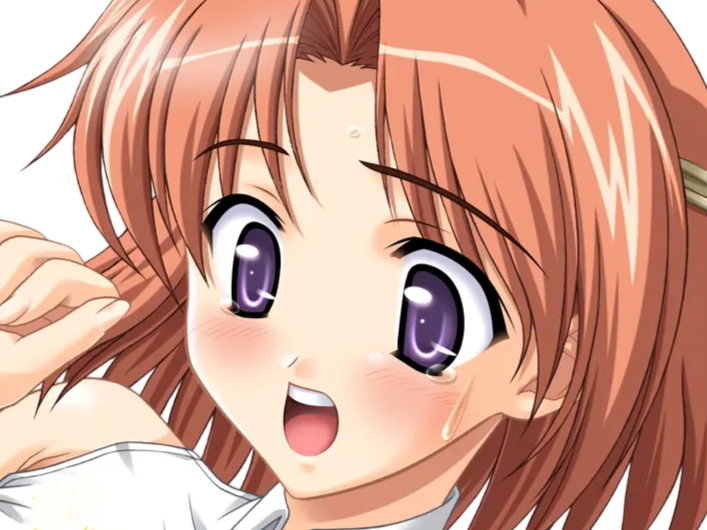 hoshino kasumi presence vn