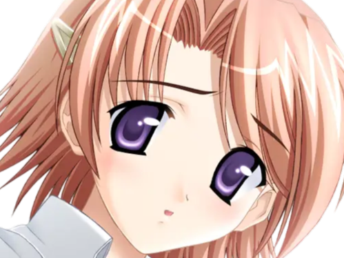 hoshino kasumi presence vn