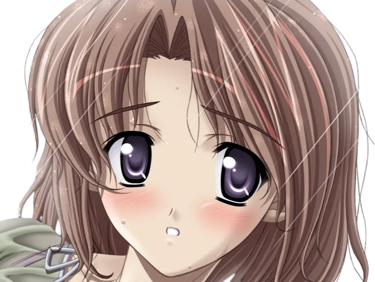 hoshino kasumi presence vn