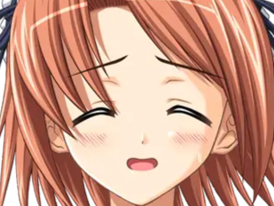 hoshino kasumi presence vn