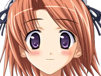 hoshino kasumi presence vn