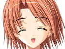 hoshino kasumi presence vn