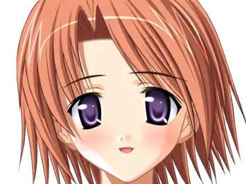 hoshino kasumi presence vn