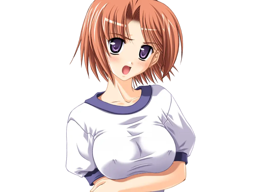 hoshino kasumi presence vn