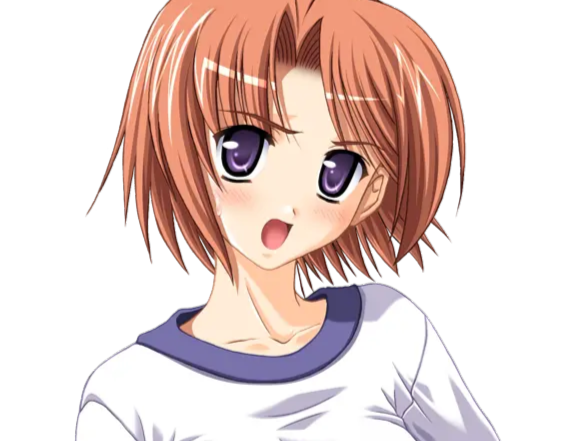 hoshino kasumi presence vn