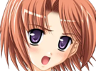 hoshino kasumi presence vn