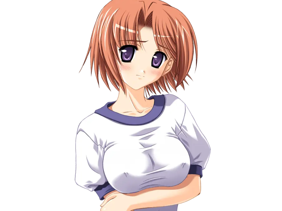 hoshino kasumi presence vn